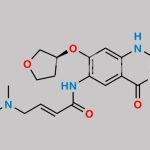 Afatinib Impurity J CAS#: 1456696-14-2