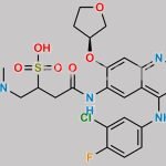 Afatinib Sulfonic Acid Analog CAS#: 2283295-16-7