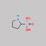 Alendronic Acid Impurity 2 CAS#: 73858-59-0