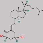 Alfacalcidol EP Impurity A CAS#: 65445-14-9