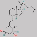 Alfacalcidol EP Impurity B CAS#: 63181-13-5