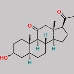 Alfaxalone CAS#: 23930-19-0