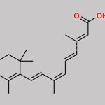 Alitretinoin CAS#: 5300-03-8