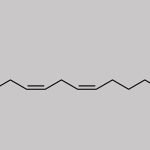 (All-Z)-8,11,14,17-Eicosatetraenoic Acid Ethyl Ester CAS#: 123940-93-2