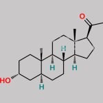 Allopregnanolone CAS#: 516-54-1