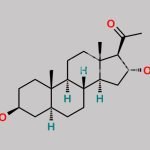 Allopregnanolone Impurity 2 CAS#: 570-64-9