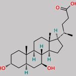 Alloursodeoxycholic Acid CAS#: 105227-28-9