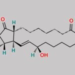 Alprostadil EP Impurity D CAS#: 20897-91-0