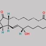 Alprostadil EP Impurity E CAS#: 24570-01-2