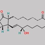 Alprostadil EP Impurity F CAS#: 21003-46-3