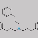 Alverine EP Impurity E CAS#: 408309-07-9