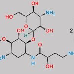 Amikacin Disulfate CAS#: 39831-55-5