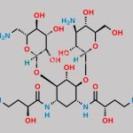 Amikacin EP Impurity B CAS#: 927821-99-6