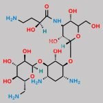 Amikacin EP Impurity C CAS#: 50725-25-2