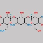 Amikacin EP Impurity D CAS#: 59-01-8