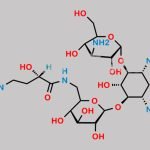 Amikacin EP Impurity E CAS#: N/A