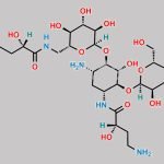 Amikacin EP Impurity F CAS#: 197909-67-4