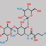 Amikacin EP Impurity G CAS#: 50896-99-6