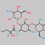 Amikacin EP Impurity H CAS#: 48237-20-3