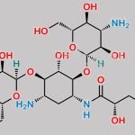 Amikacin Hydrate CAS#: N/A