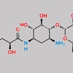 Amikacin Sulfate Isomer CAS#: 1793053-90-3