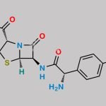 Amoxicillin EP Impurity B CAS#: 26889-93-0