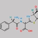 Amoxicillin EP Impurity D CAS#: 1642629-94-4