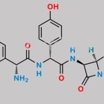 Amoxicillin EP Impurity G CAS#: 188112-75-6