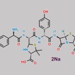 Amoxicillin EP Impurity J 2Na CAS#: N/A