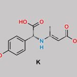 Amoxicillin Impurity 13 CAS#: 69416-61-1