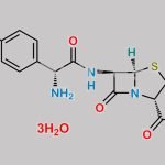 Amoxicillin Trihydrate CAS#: 61336-70-7