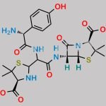 Amoxicillin USP Related Compound M CAS#: N/A