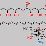 Amphotericin B-13C6 CAS#: N/A