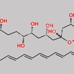 Amphotericin B Ethyl Ester CAS#: 55298-62-9