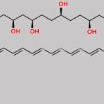 Amphotericin B Impurity 1 CAS#: N/A
