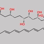Amphoteronolide B CAS#: 106799-07-9