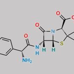 Ampicillin CAS#: 69-53-4