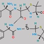 Ampicillin Decarboxylated Open Ring Dimer CAS#: N/A