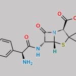 Ampicillin EP Impurity B CAS#: 19379-33-0
