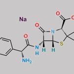 Ampicillin Sodium Salt CAS#: 69-52-3