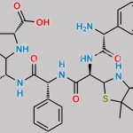 Ampicillin Oligomer 2 CAS#: 1207725-82-3