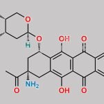 Amrubicin CAS#: 110267-81-7