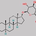 Androstane-3a,17-ß-diol Glucuronide CAS#: 65144-53-8