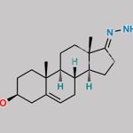 Androstenone Hydrazone CAS#: 63015-10-1