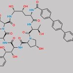 Anidulafungin Impurity E CAS#: 2099166-85-3