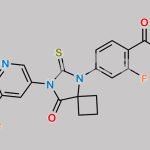 Apalutamide d3 CAS#: 1638885-61-6