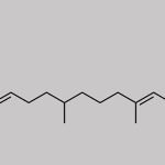 Phytonadione Impurity 29 CAS#: N/A