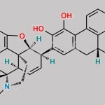 Apomorphine EP Impurity C CAS#: N/A