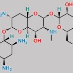 Apramycin CAS#: 37321-09-8