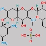 Apramycin Sulfate CAS#: 65710-07-8